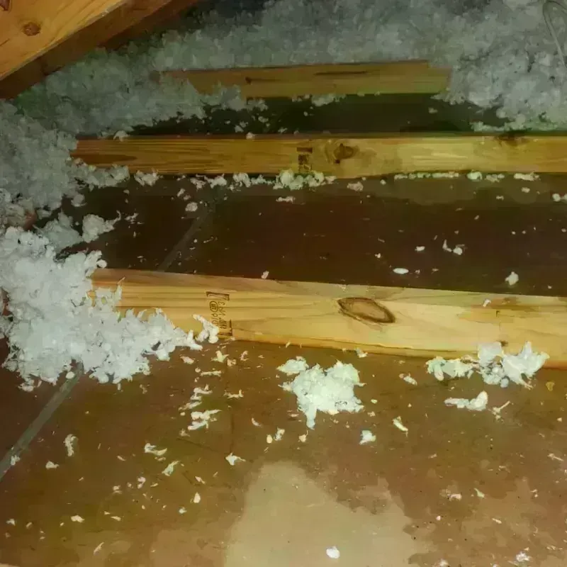 Attic Water Damage in Garvin County, OK