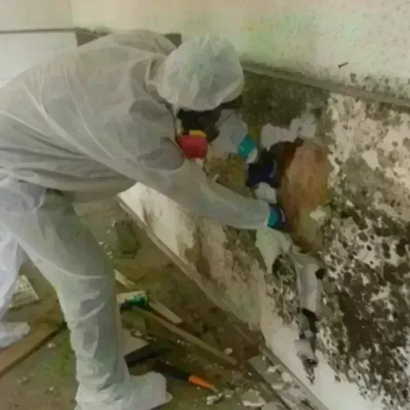 Mold Remediation and Removal in Garvin County, OK